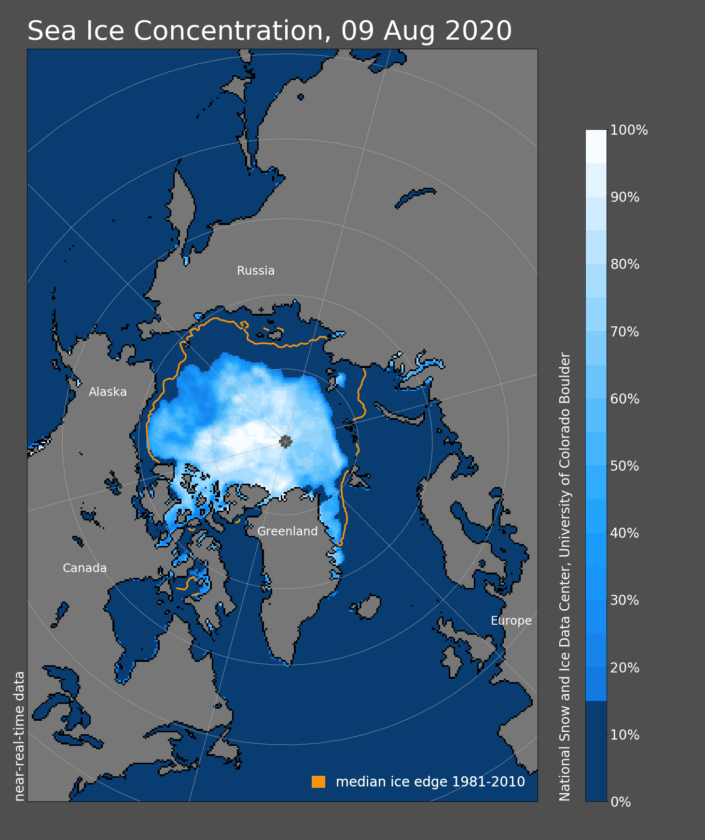 arctic sea ice