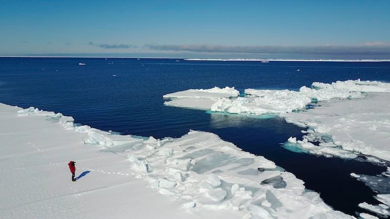 arctic sea ice